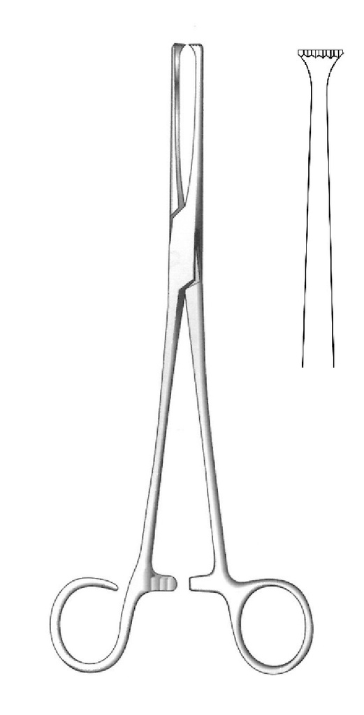 COLVER tonsil grip clamp, straight - length = 19 cm / 7-1 / 2 "