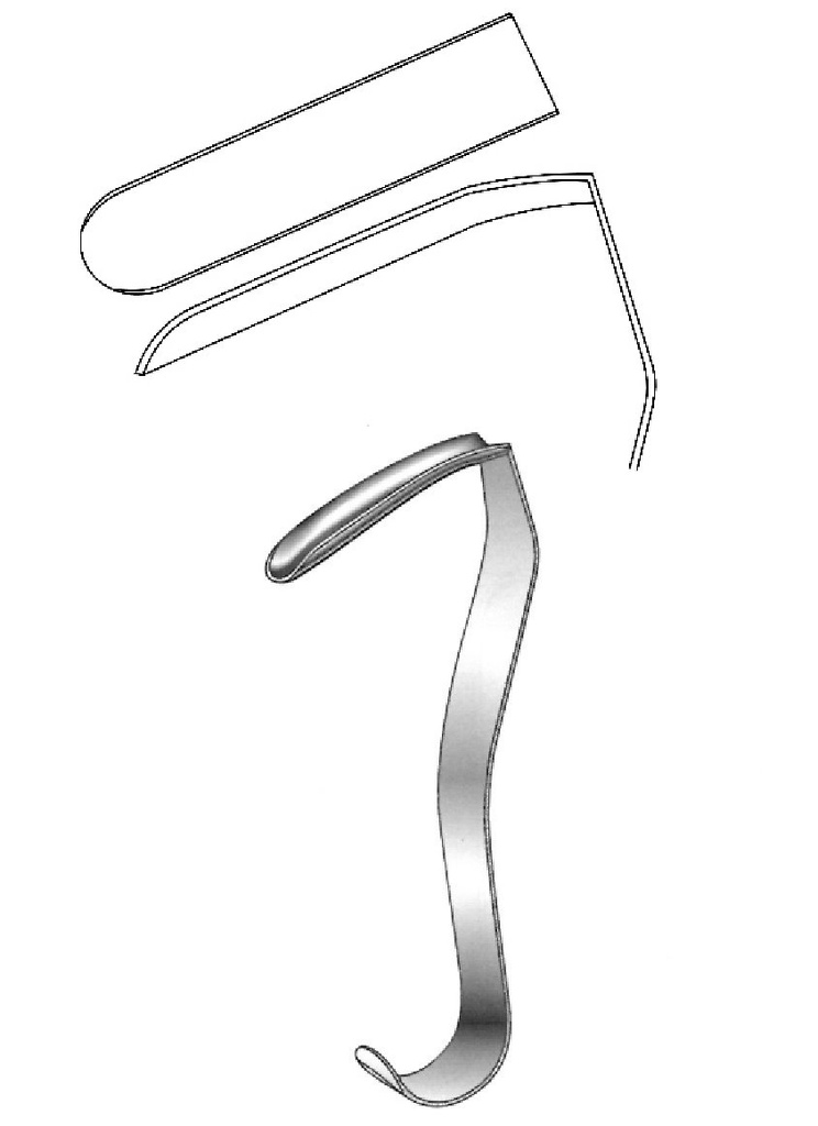 Nasal Converse separator, Valva = 44 x 11 mm - length = 10.5 cm / 4 "