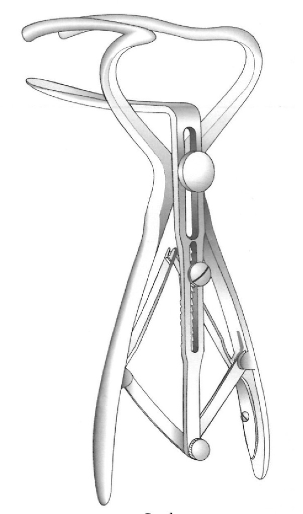 Rectal cook, chromed - length = 20 cm / 8 "