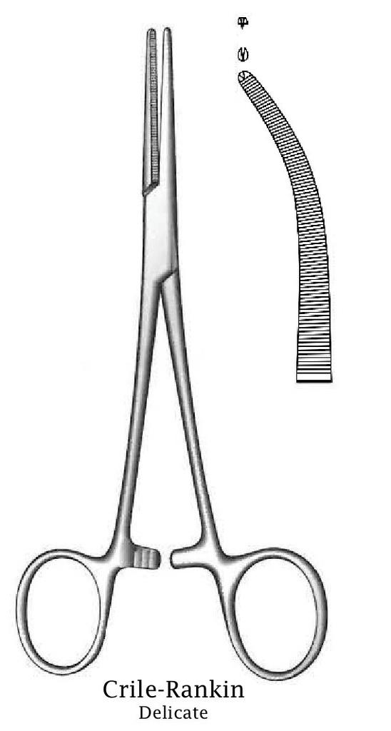 Pinza para arteria Crile-Rankin, curva, delicada, dientes 1:2 - longitud = 16 cm / 6-1/4"