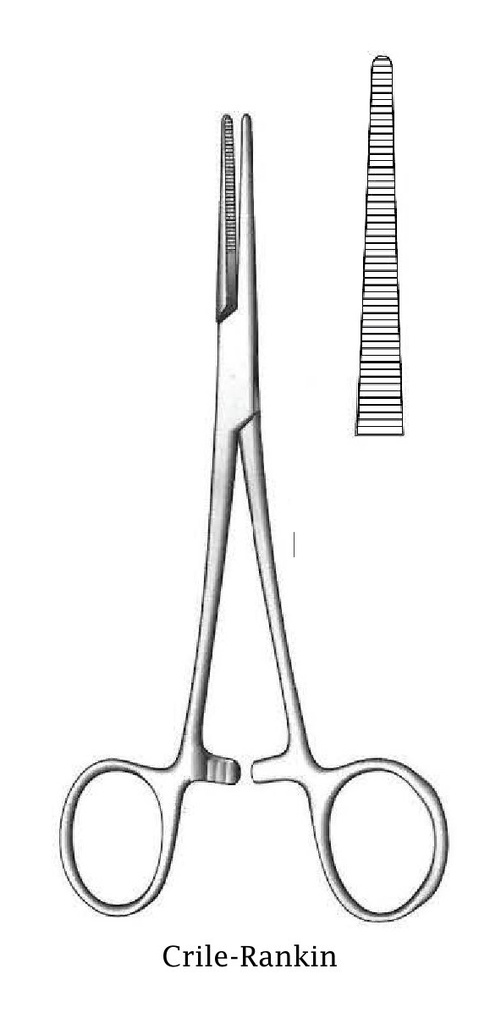 Crile-Rankin artery clamp, straight-length = 16 cm / 6-1 / 4 "