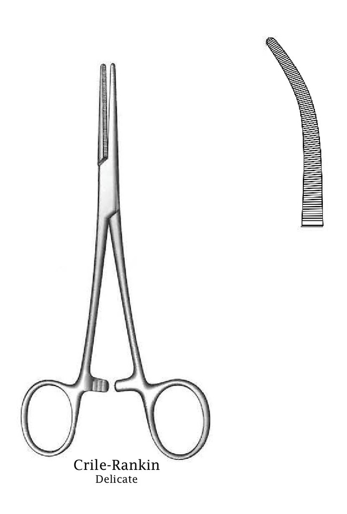 Pinza para arteria Crile-Rankin, curva, delicada - longitud = 18 cm / 7"