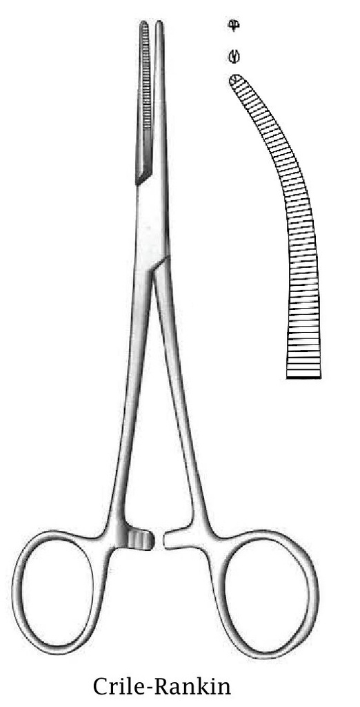 Pinza para arteria Crile-Rankin, curva, dientes 1:2 - longitud = 18 cm / 7"