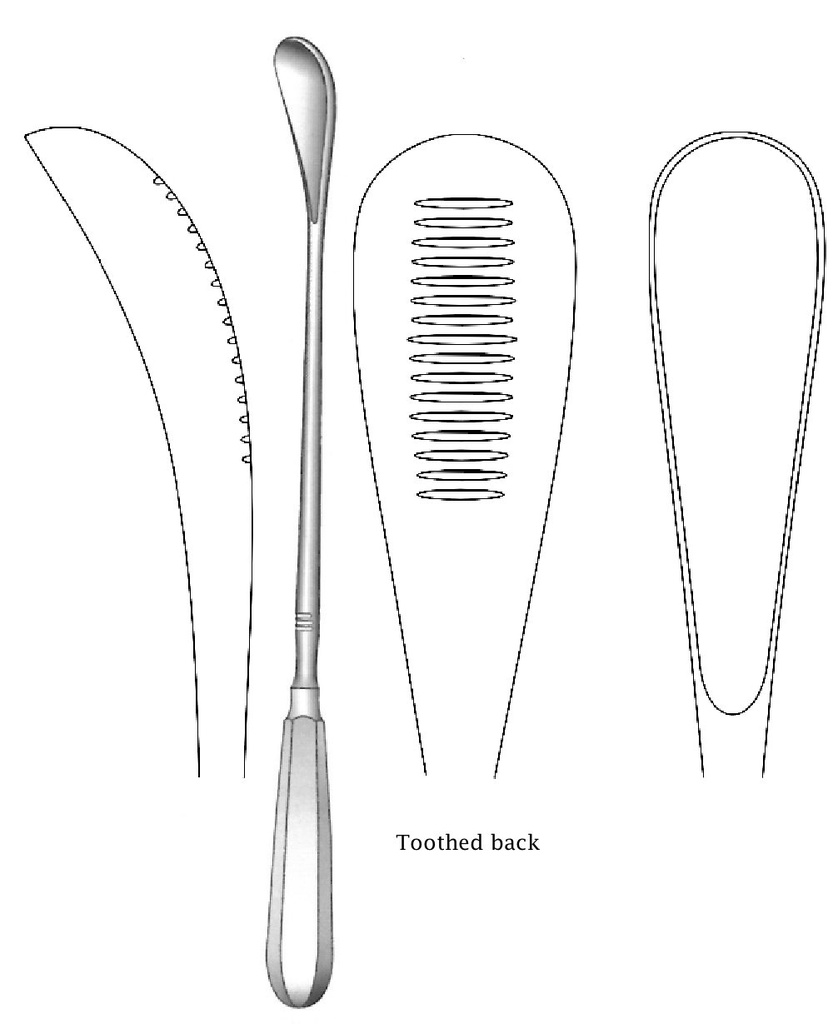 Cureta uterina Cuzzi, dentada hacia atrás, desafilado, ancho = 14.5 mm - longitud = 30 cm / 12"