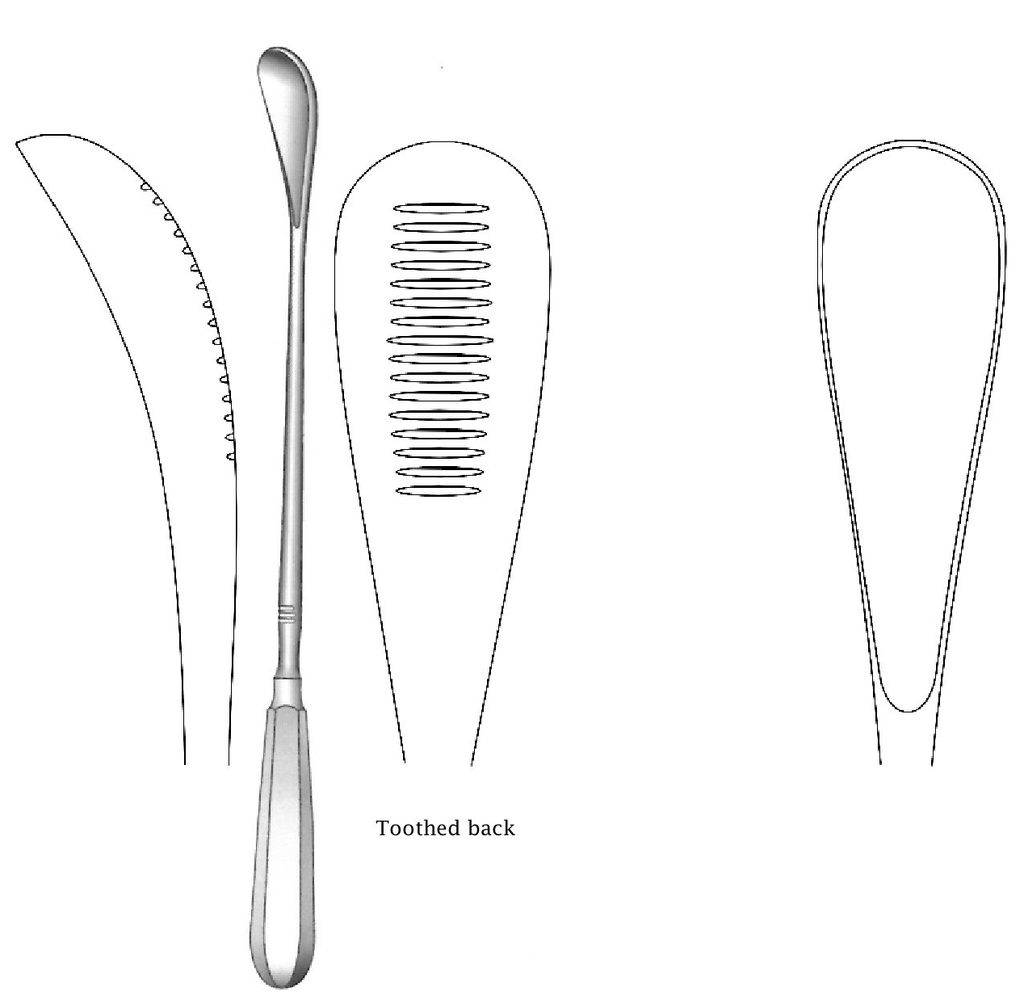 Cureta uterina Cuzzi, dentada hacia atrás, desafilado, ancho = 18 mm - longitud = 30 cm / 12"