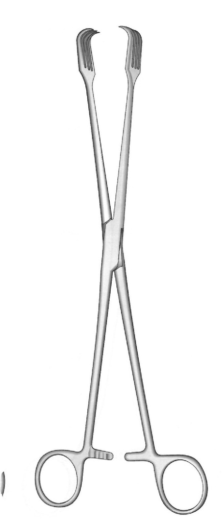 Pinza de tenáculo Braun - longitud = 26 cm / 10-1/4"