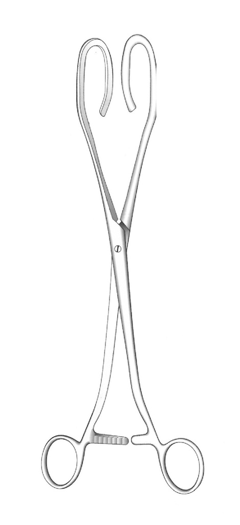 Uterine elevation clamp Dardigues - Length = 27 cm / 10-1 / 2 "