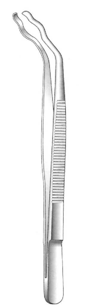 Pinza para esterilización Davis - longitud = 16 cm / 6-1/4&quot;