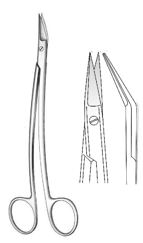 Tijera para amígdalas Dean, liso, afilado - longitud = 17 cm / 6-3/4"