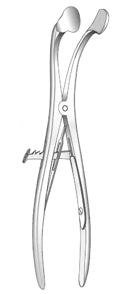 Delabarre Open - Length = 20 cm / 8 "