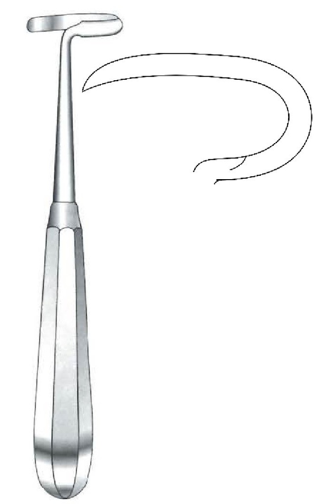 Legra Doyen para adultos, izquierda - longitud = 17 cm / 6-3/4"