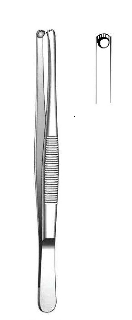 Dissection clamp in - length = 14.5 cm / 5-1 / 2 "