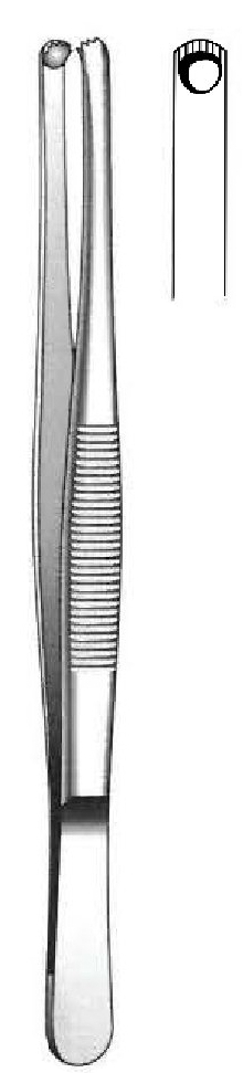 Pinza para disección Durante - longitud = 16 cm / 6-1/4"