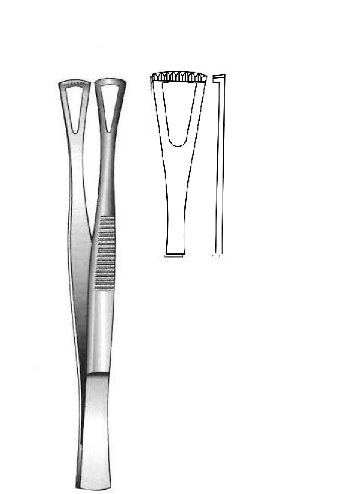 Pinza para disección Duval - longitud = 14.5 cm / 5-1/2"