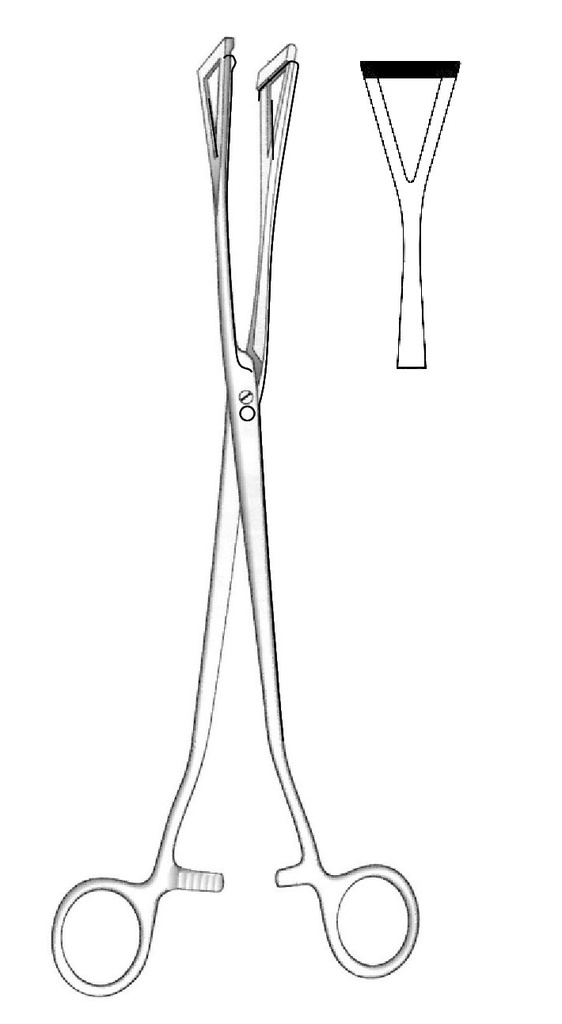 Pinza para sujeción de tejidos Duval, anchura de los dientes = 25 mm - longitud = 28 cm / 11"