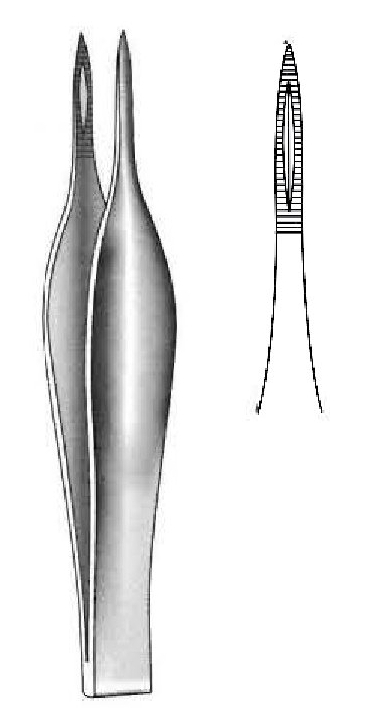 Feilchenfeld splinters clamp - length = 11.5 cm / 4-1 / 2 "