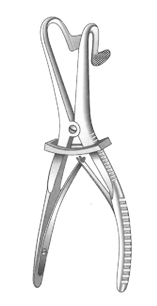 Open Fergusson, ACKLAND teeth - length = 19 cm / 7-1 / 2 "