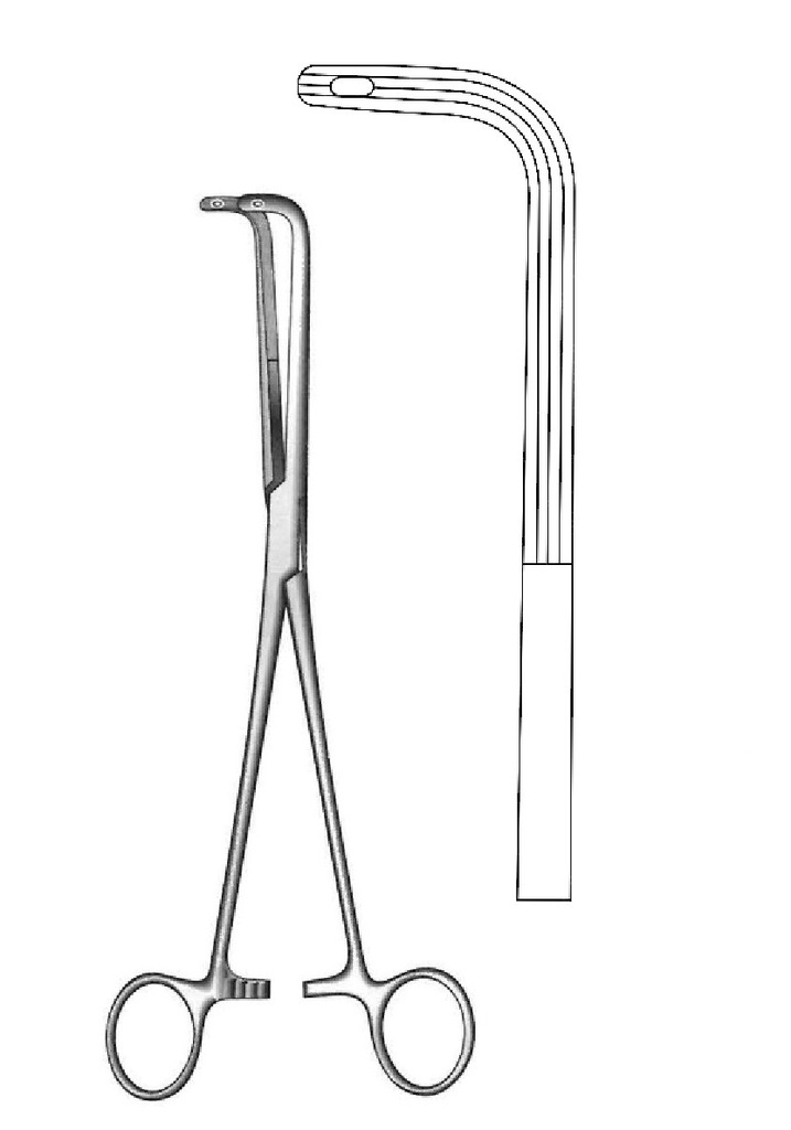LIGHT AND DISSECTION PINK FINOCHietto - Length = 24 cm / 9-1 / 2 "