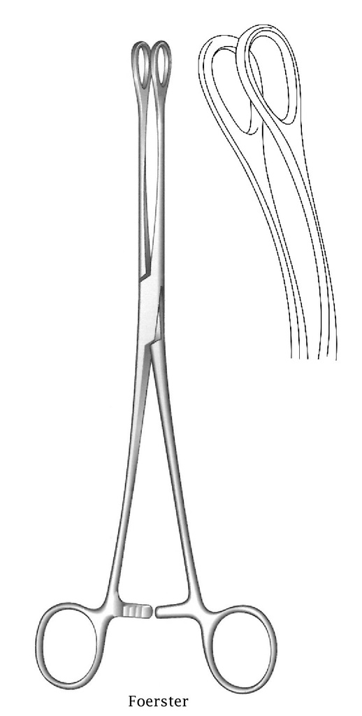Pinza de sujeción para esponjas Foerster, diente liso, curva - longitud = 25 cm / 10"