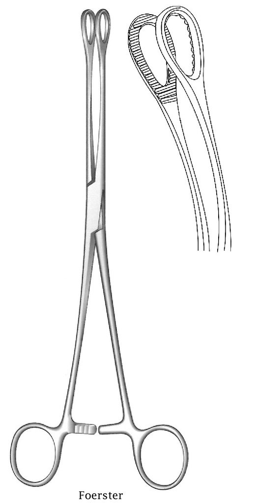 Pinza de sujeción para esponjas Foerster, dientes dentados, curva - longitud = 25 cm / 10"