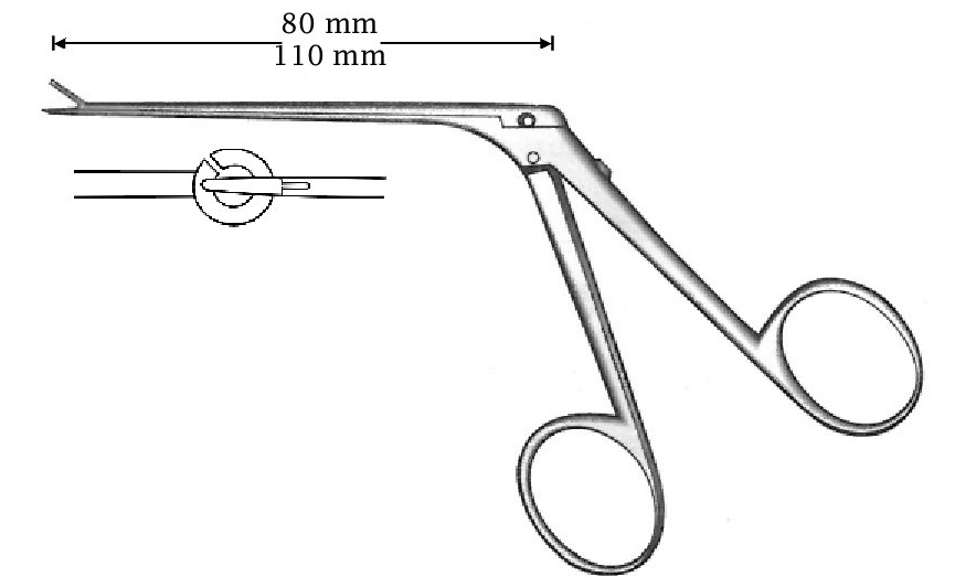 Pinza micro oído - longitud = 80 mm