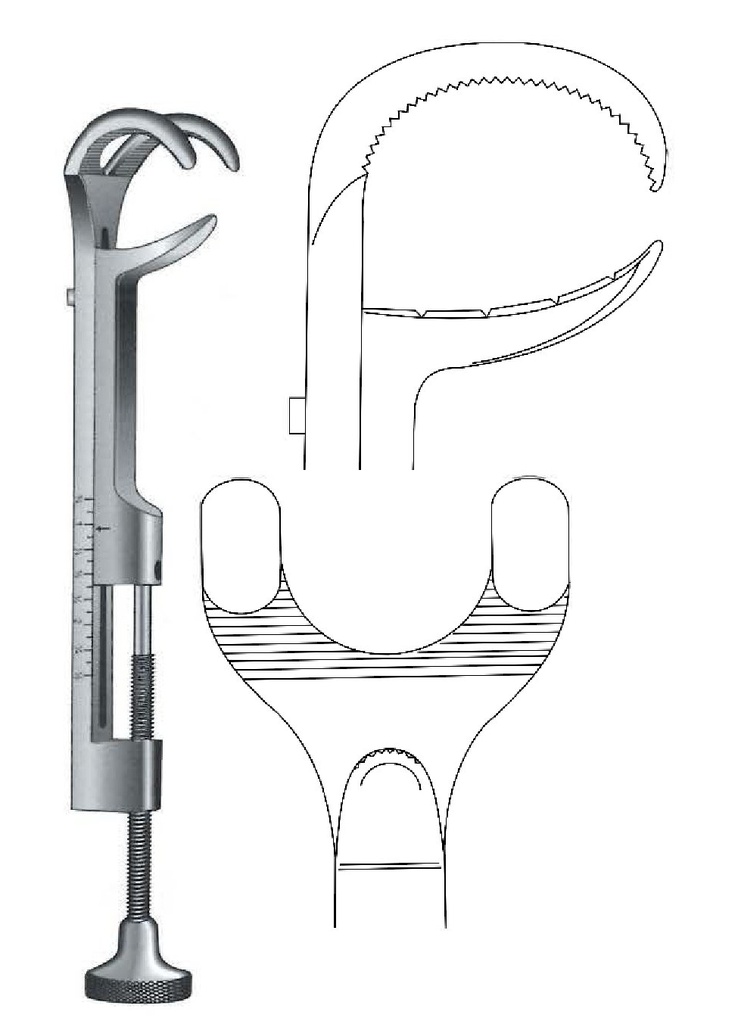 Gerster-Lowman bone clamping clamp-length = 22 cm / 8-3 / 4 "