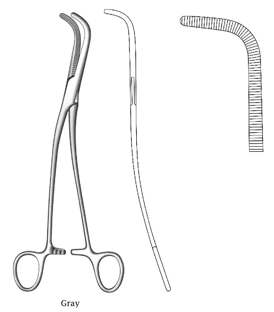 Gray Biliary Calculation clamp - Length = 23 cm / 9 "