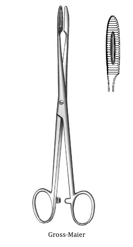 Pinza para apósito Gross-Maier con trinquete, recta - longitud = 20 cm / 8"