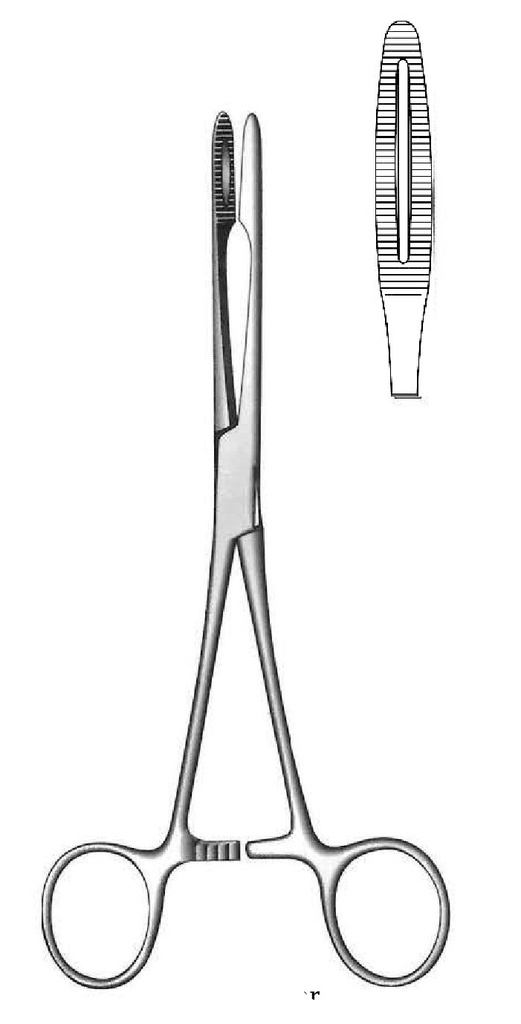 Gross-Maier Dressing Forceps with ratchet, straight - length = 25 cm / 10"