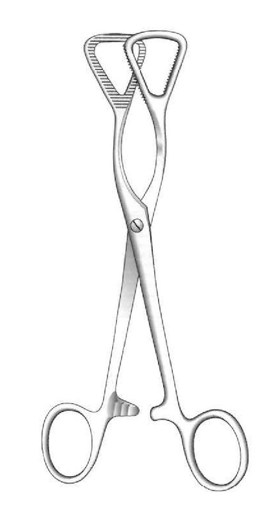 Pinza de sujeción para lengua Guy - longitud = 19 cm / 7-1/2"