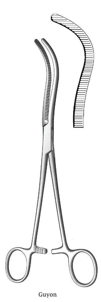 Guyon renal pedicle clamp - length = 20 cm / 8 "