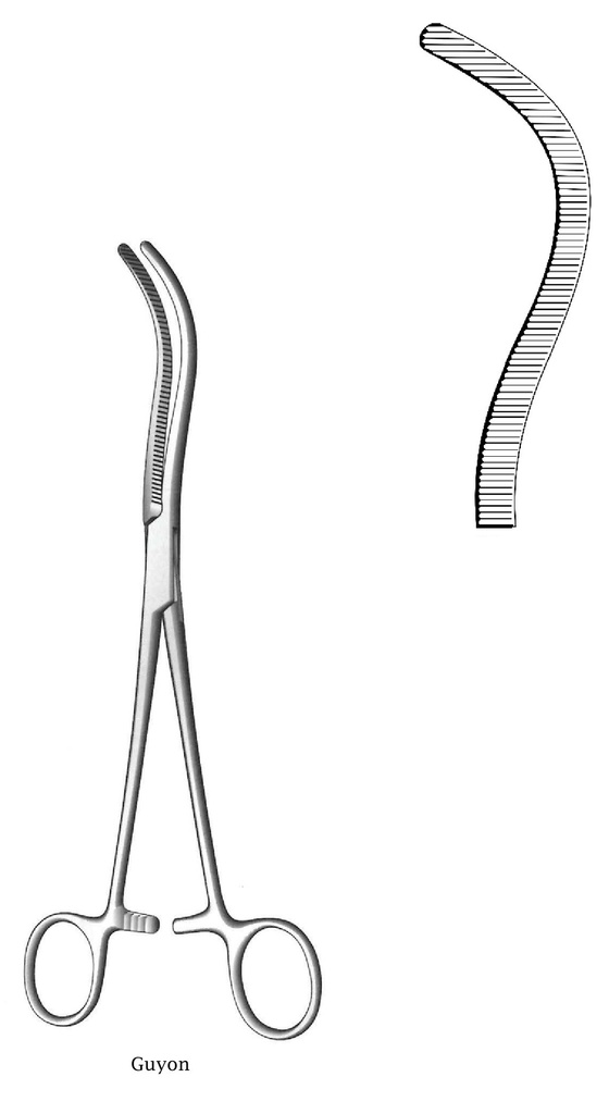 Guyon renal pedicle clamp - length = 24 cm / 9-1 / 2 "