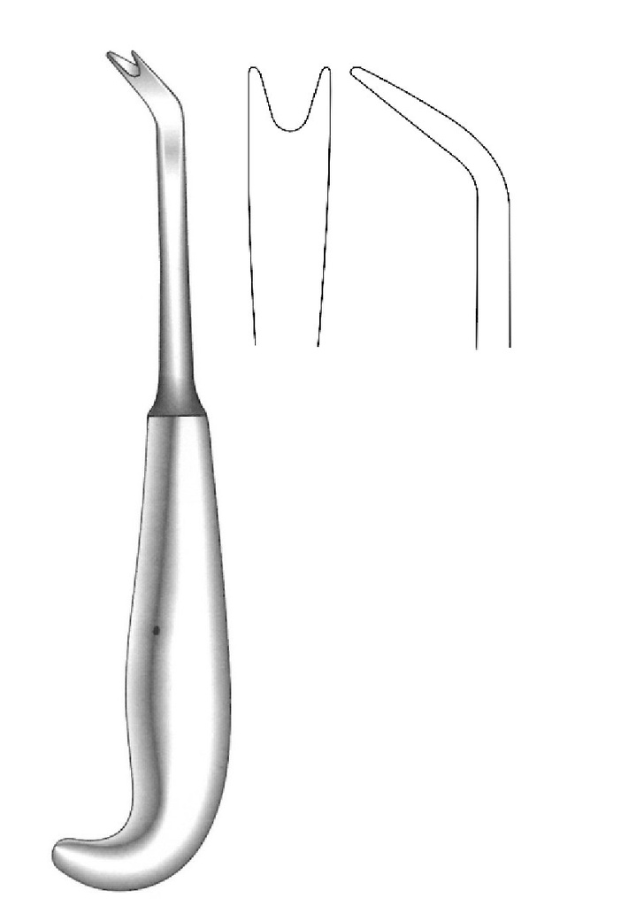 Raspador Hargis - longitud = 19 cm / 7-1/2"