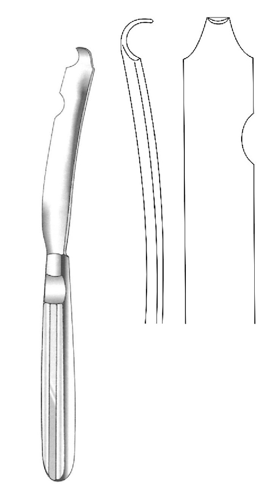 Hargis branch separator, right - length = 19.5 cm / 7-3 / 4 "