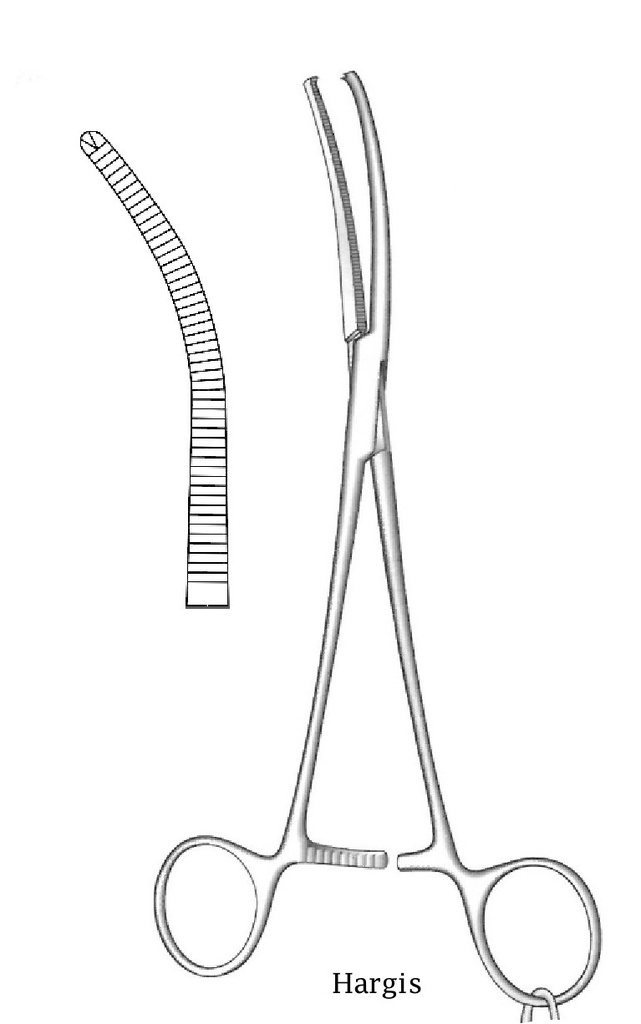 Pinza de sujeción para hueso Hargis con cadena, dientes 1:2 - longitud = 19 cm / 7-1/2"