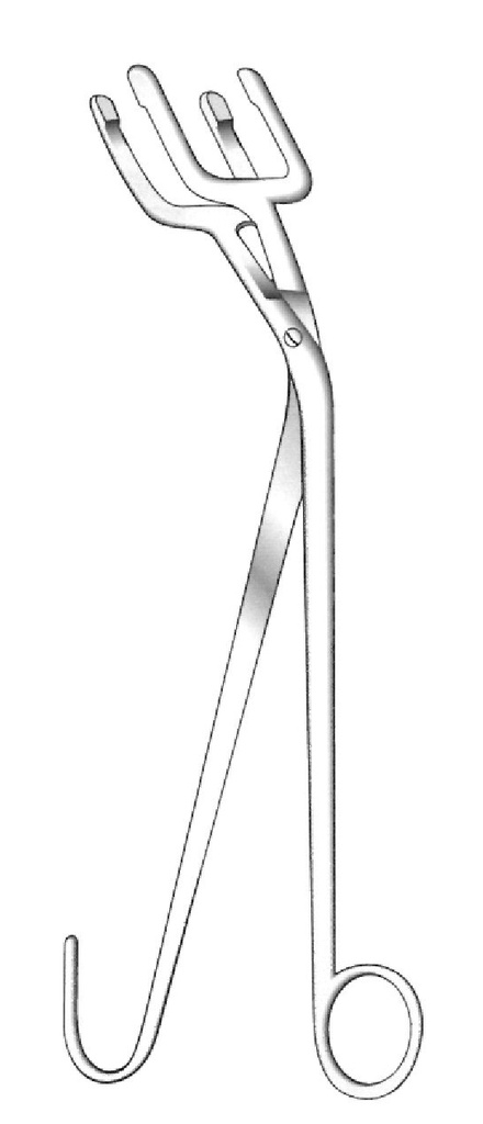 Harrison sterilization clamp - length = 25 cm / 10 "