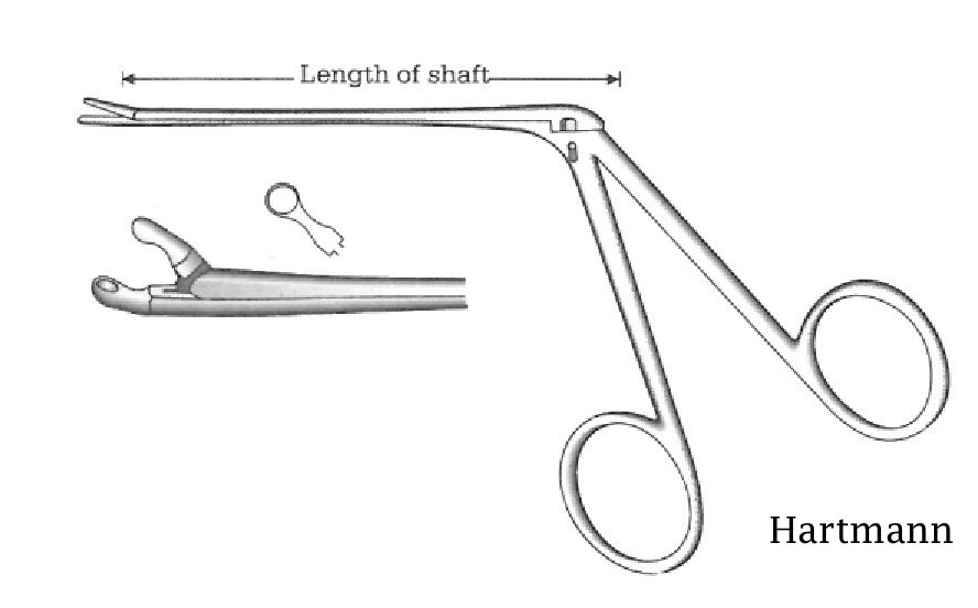 Pinza para pólipo oído Hartmann, diámetro = 2 mm - longitud = 12 cm / 4-3/4"