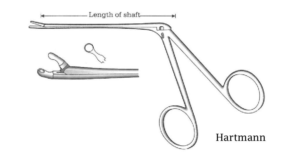 Pinza para pólipo oído Hartmann, diámetro = 2 mm - longitud = 14 cm / 5-1/2"