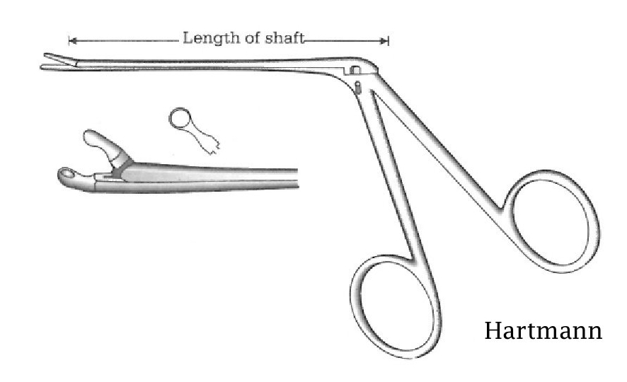Pinza para pólipo oído Hartmann, diámetro = 2.5 mm - longitud = 14 cm / 5-1/2"