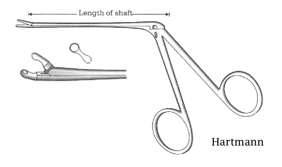 Pinza para pólipo oído Hartmann, diámetro = 3 mm - longitud = 14 cm / 5-1/2"