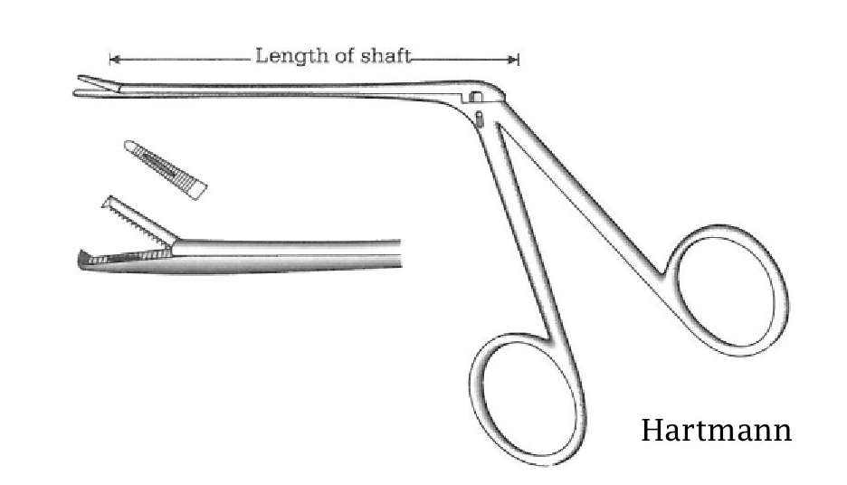 Hartmann heard polyp clamp, teeth = 1: 2 - Axis length = 12 cm / 4-3 / 4 "