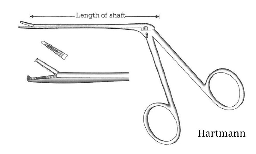 Pinza para pólipo oído Hartmann, dientes = 1:2 - longitud del eje = 14 cm / 5-1/2&quot;