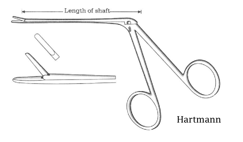 Pinza  para pólipo oído Hartmann, recta - longitud del eje = 8.5 cm / 3-1/2&quot;