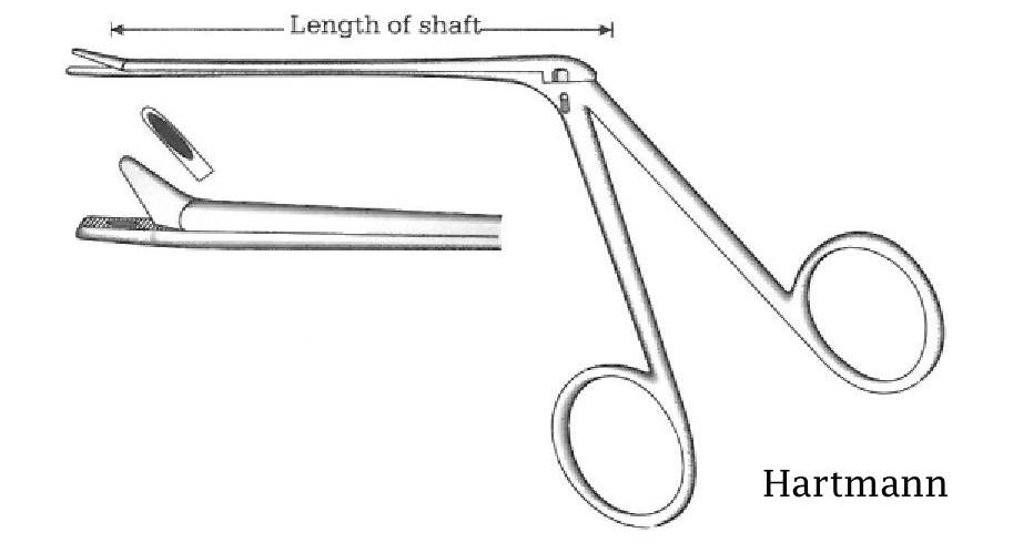 Pinza  para pólipo oído Hartmann, punta ovalada - longitud del eje = 8.5 cm / 3-1/2"