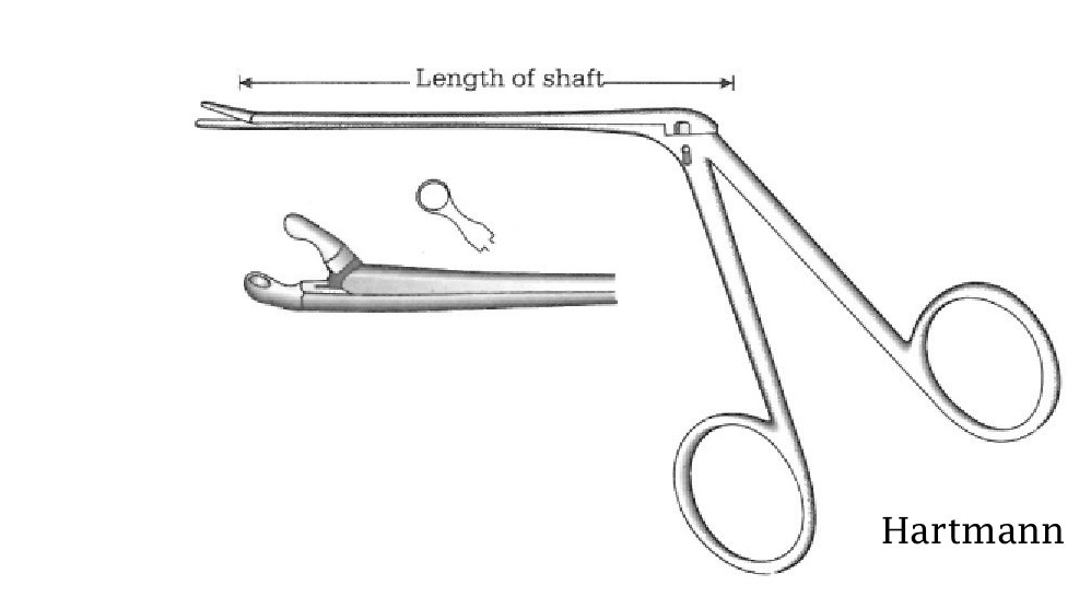 Pinza para pólipo oído Hartmann, diámetro = 2.5 mm - longitud = 8.5 cm / 3-1/2"