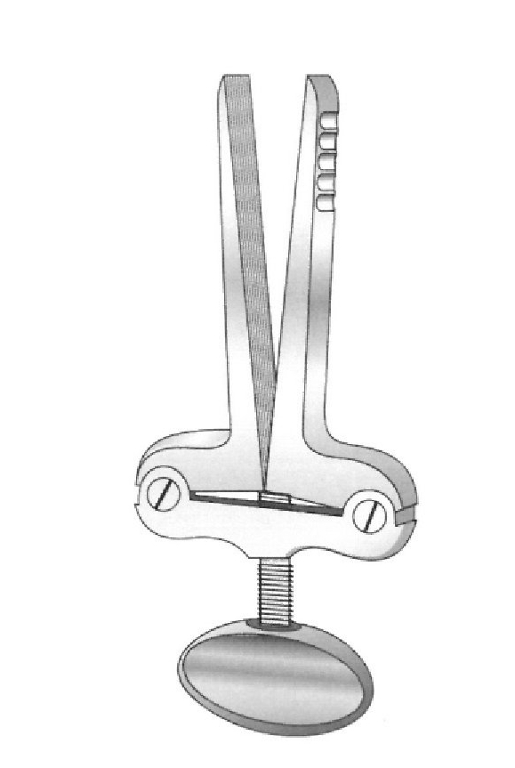 Abreboca Heister - longitud = 13 cm / 5"