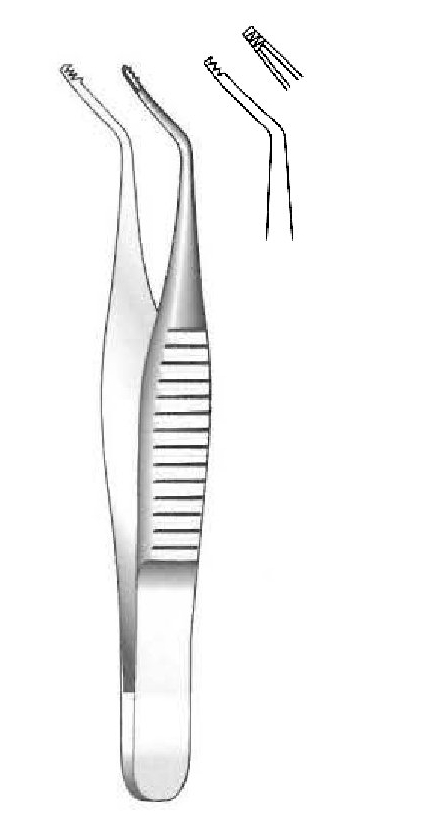 Hess Capping Forceps - length = 6 cm / 2-1/2"