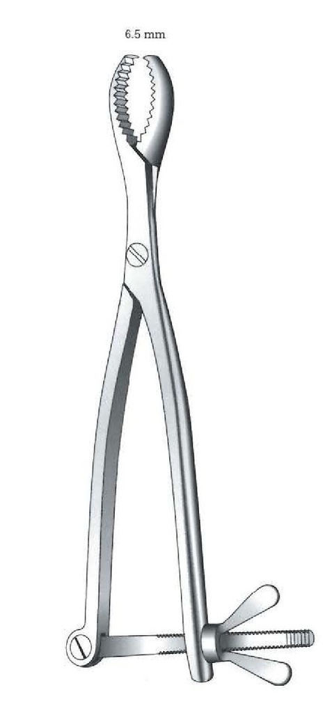 Pinza de sujeción para huesos Hey-Groves - longitud = 21 cm / 8-1/4"