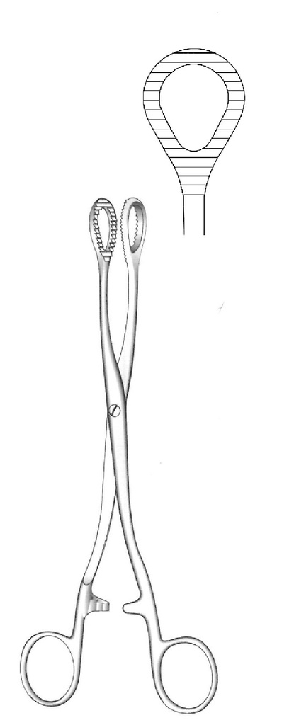 Heywood -Smith rectal biopsy clamp - length = 20 cm / 8 "