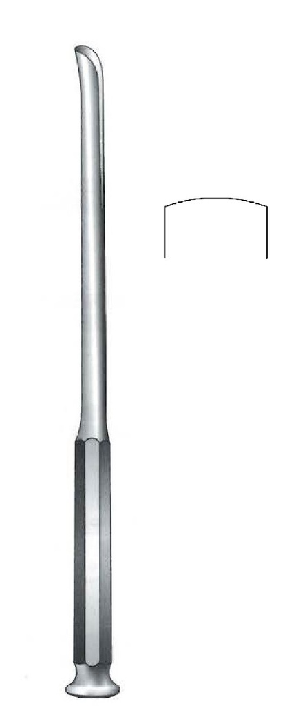 Gubia Honton, concave